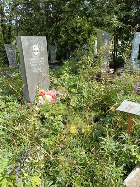 Ударцева Екатерина Ивановна