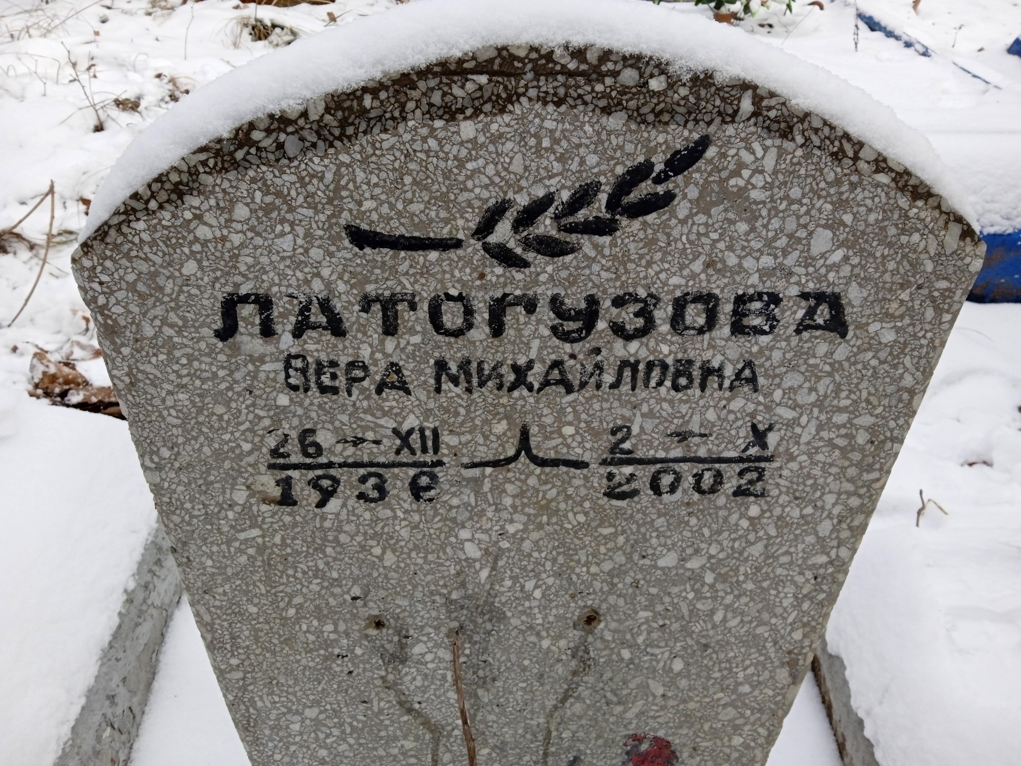 Латогузова Вера Михайловна