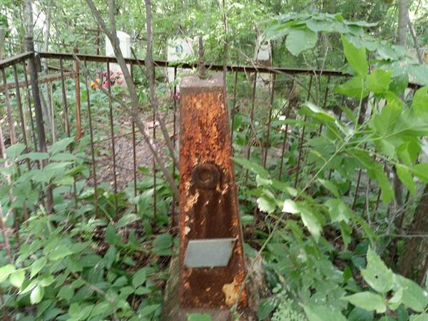 Шкитина Ольга Николаевна
