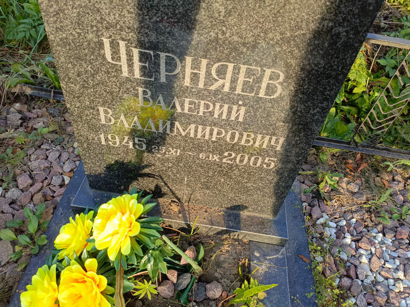Черняев