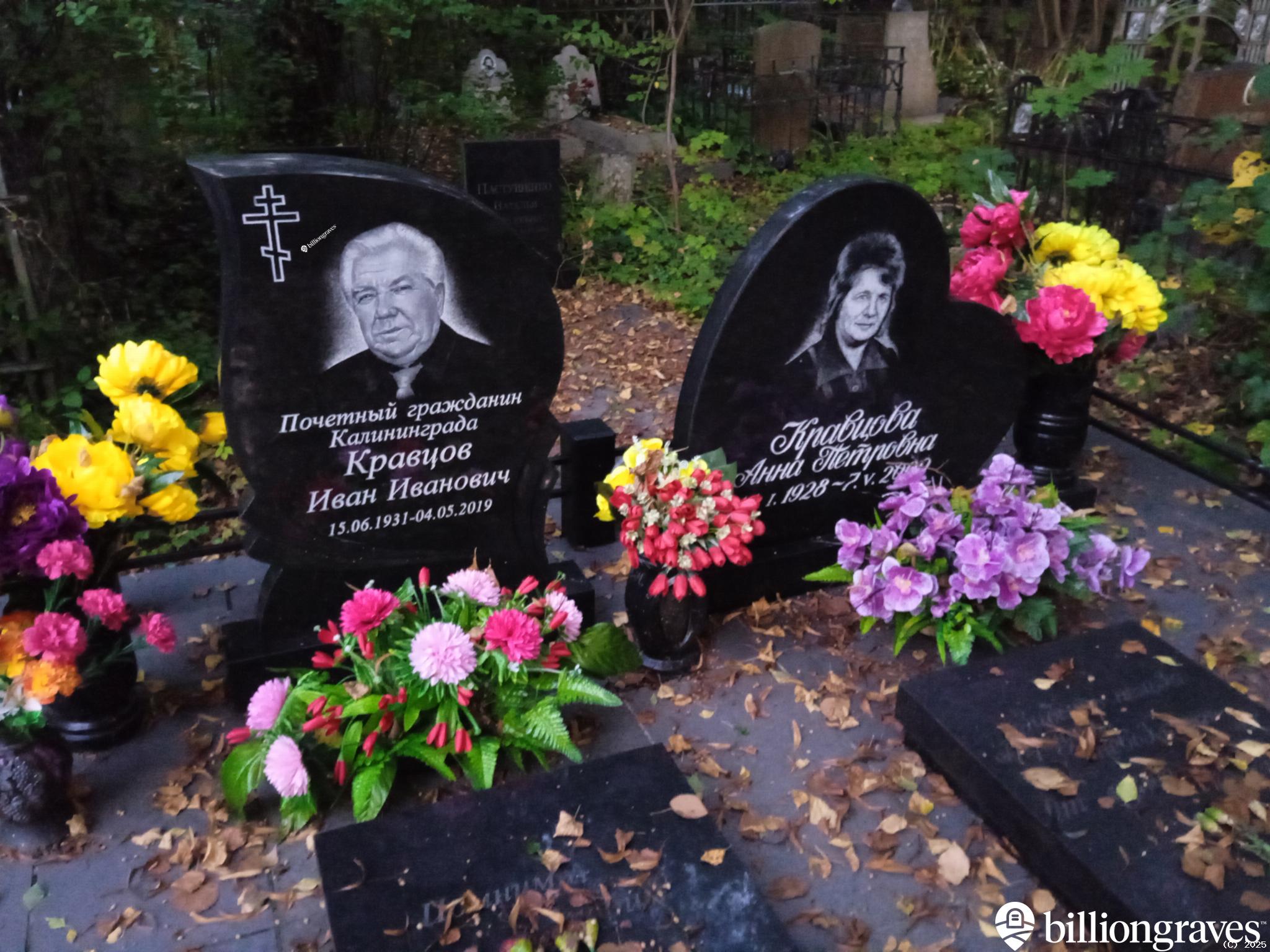 Кравцова Анна Петровна
