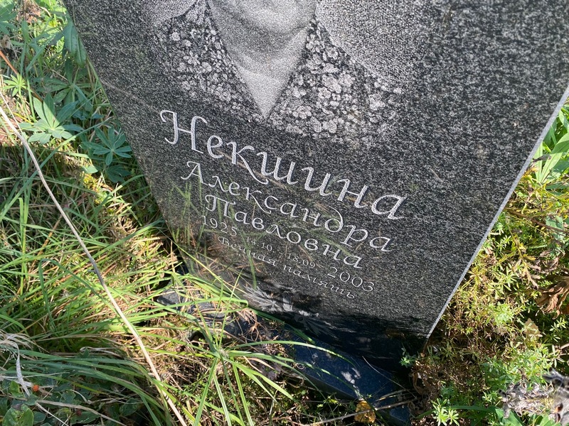 Некшина Александра Павловна