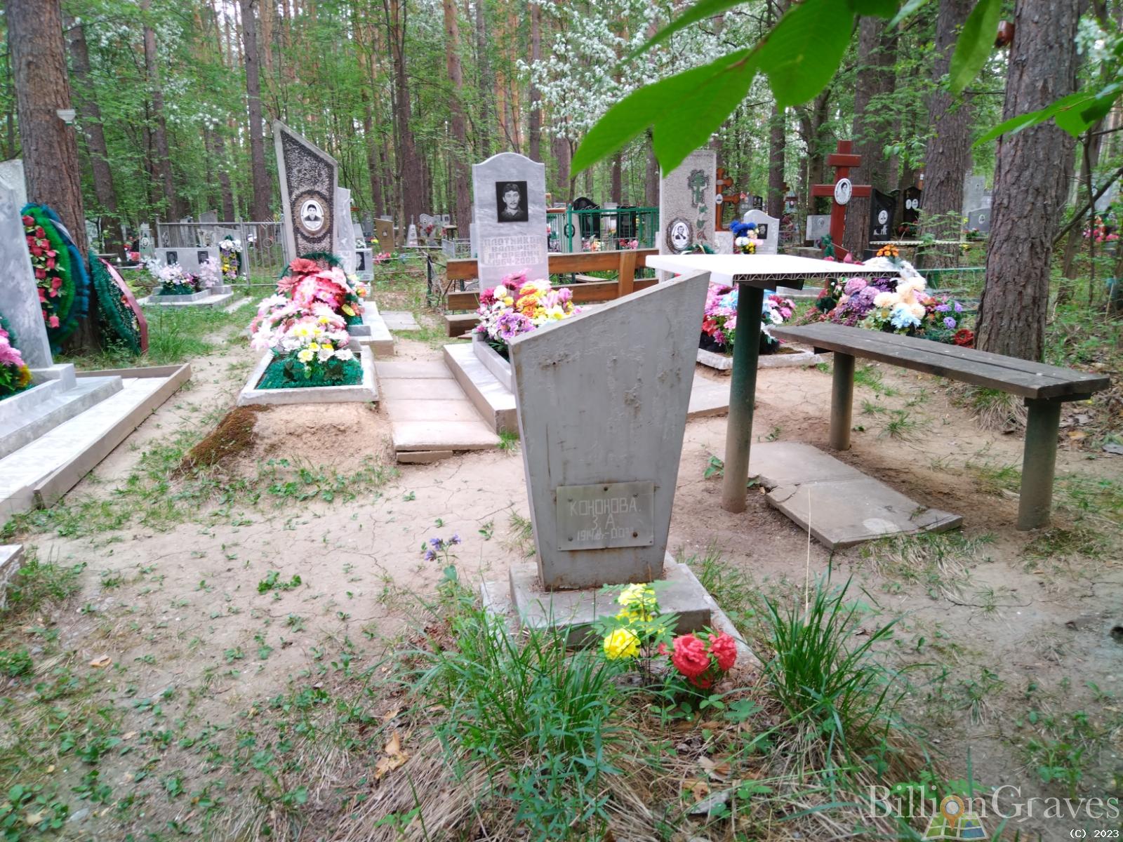 Кононова З. А.