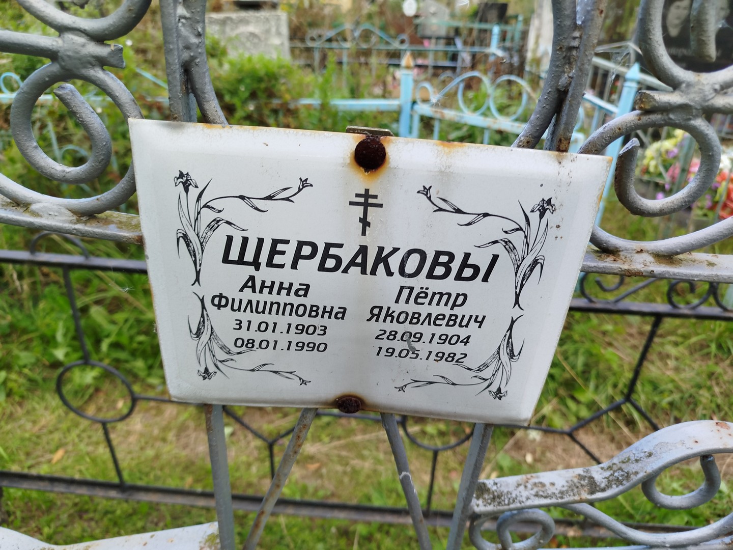 Щербакова