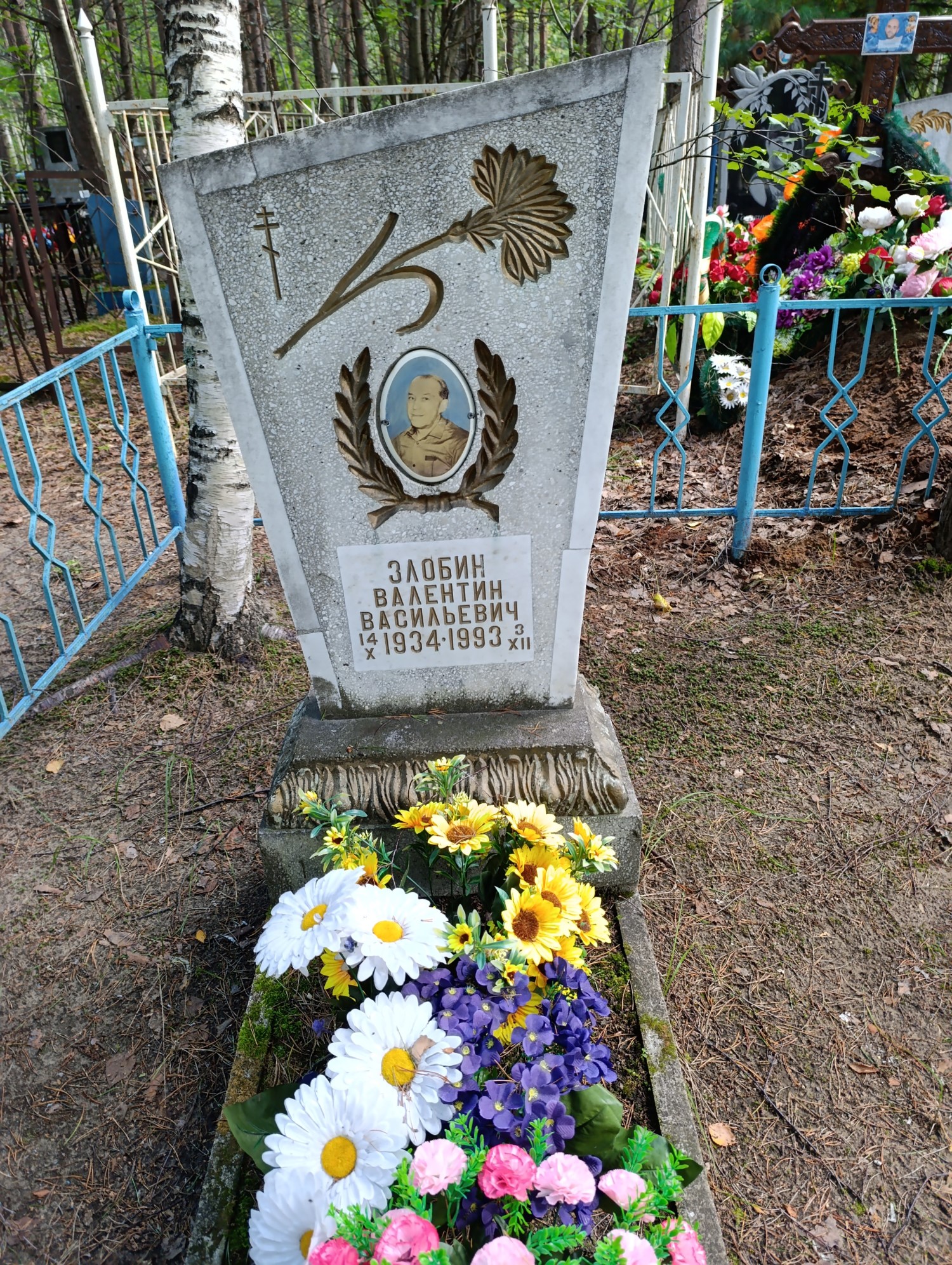 Злобин Валентин Васильевич
