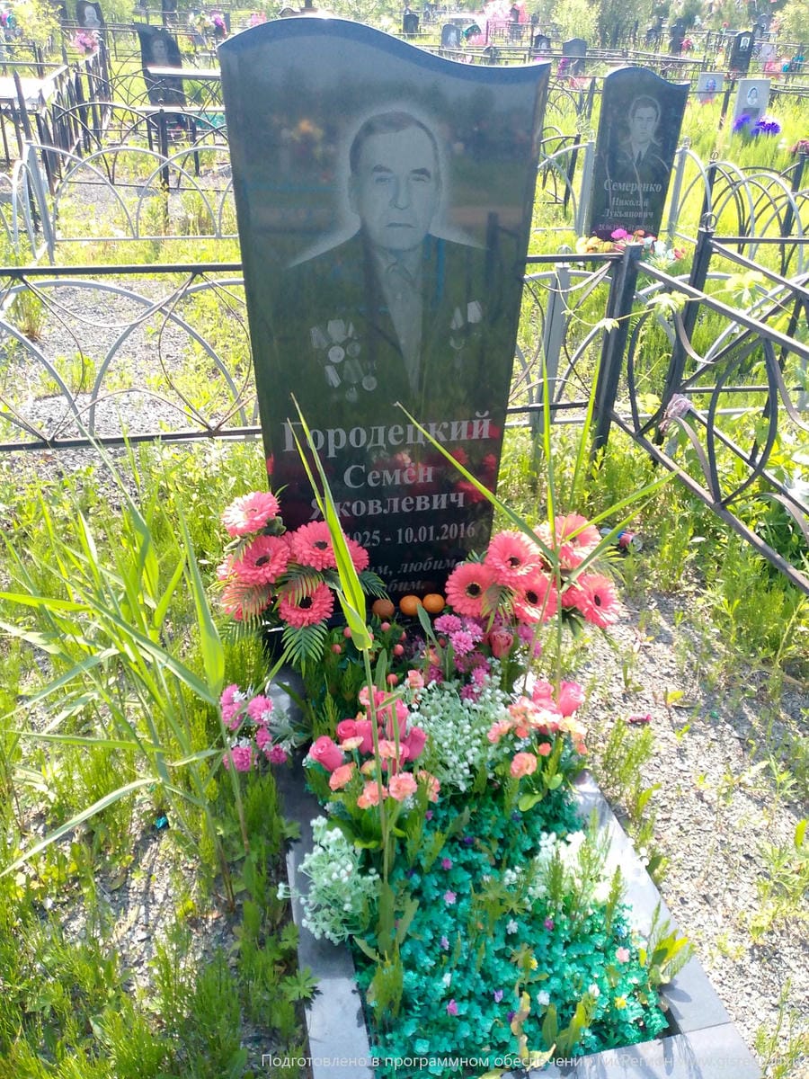 Городецкий Семен Яковлевич