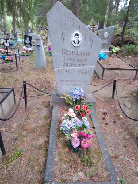 Безмалый Александр Андреевич