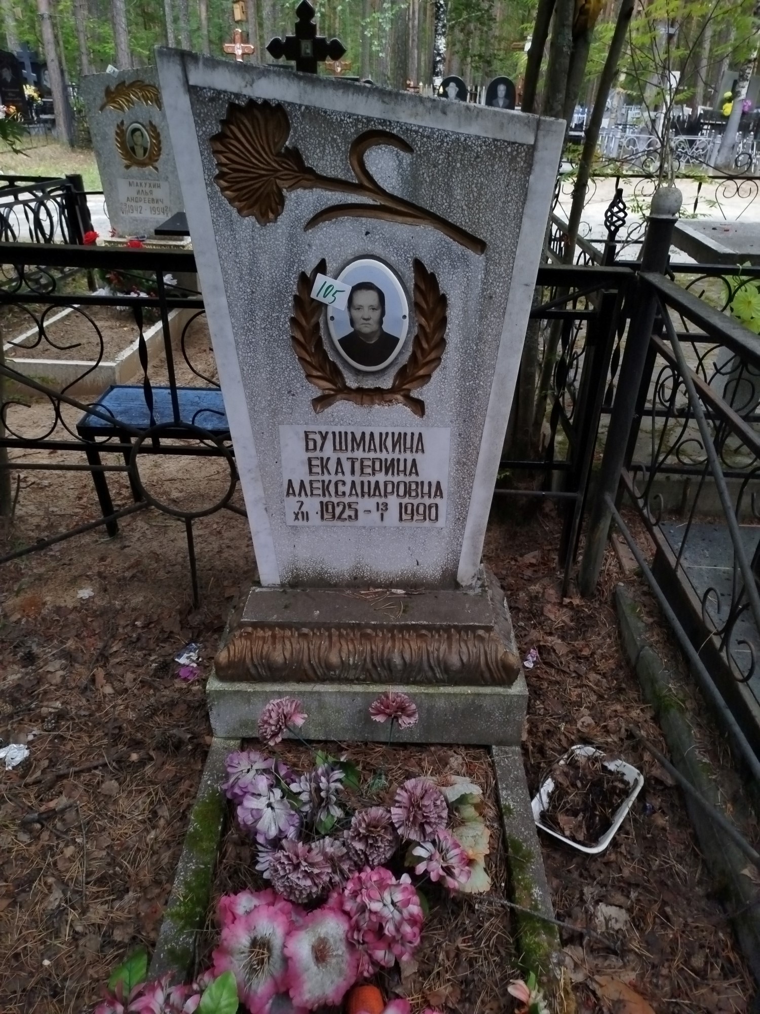 Бушмакина Екатерина Александровна