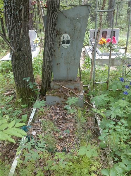 Сергеев Виктор Григорьевич