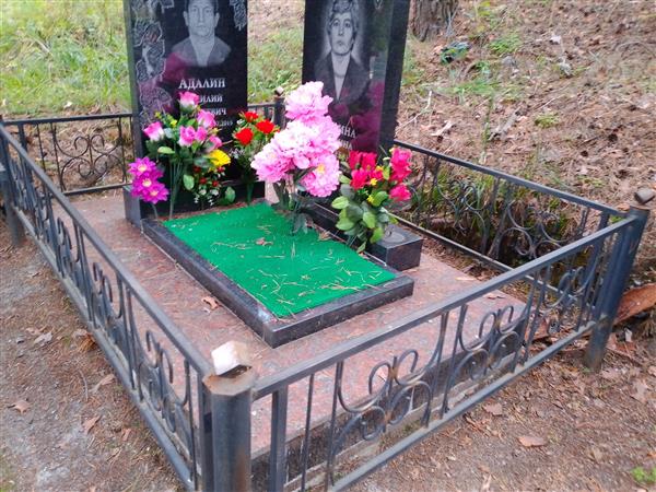 Адалин Василий Елисеевич