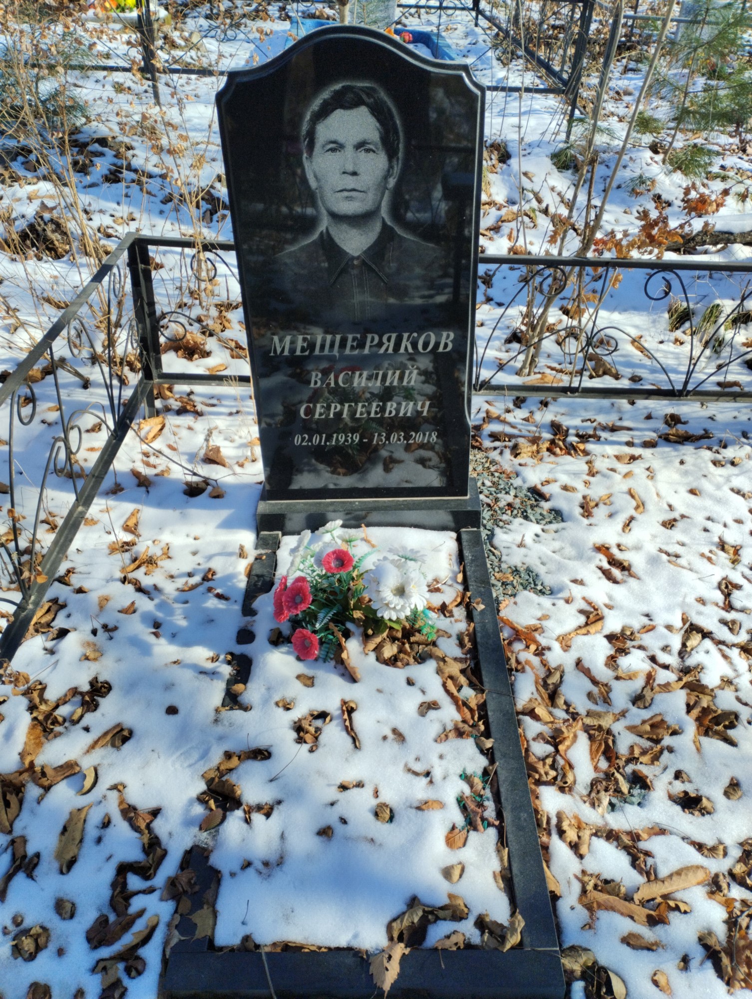 Мещеряков Василий Сергеевич