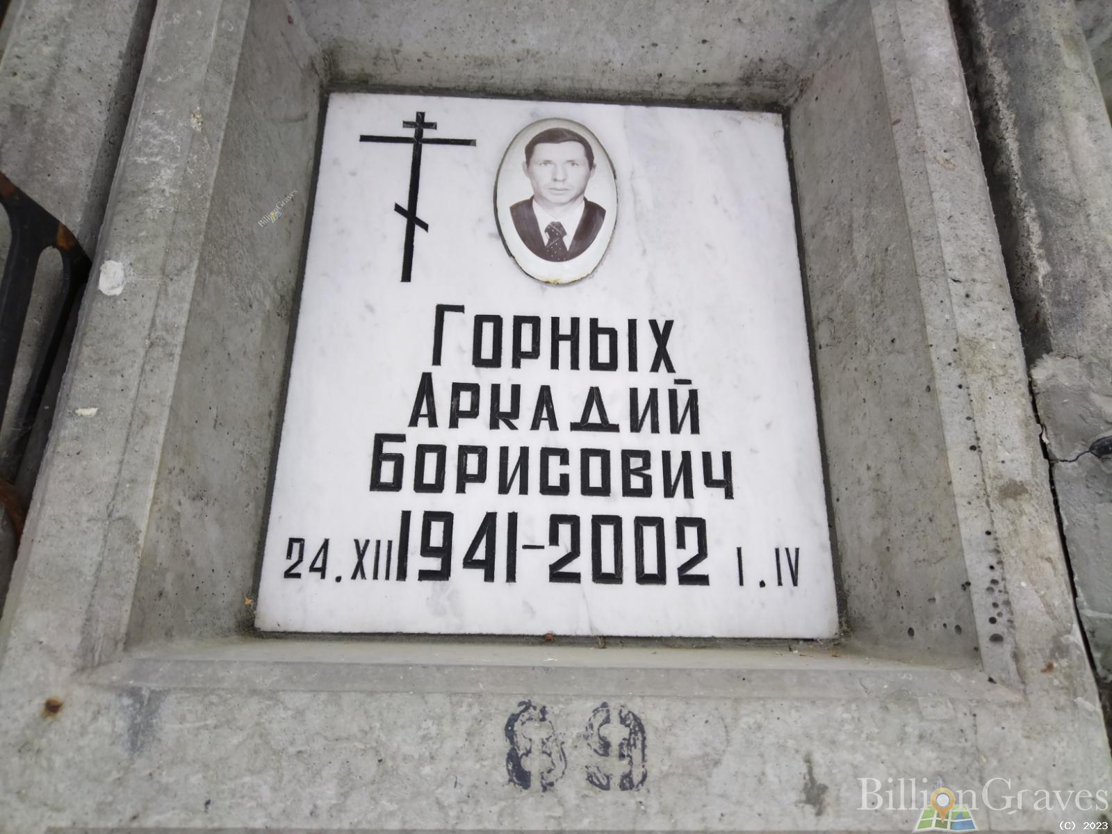 Горных Аркадий Борисович