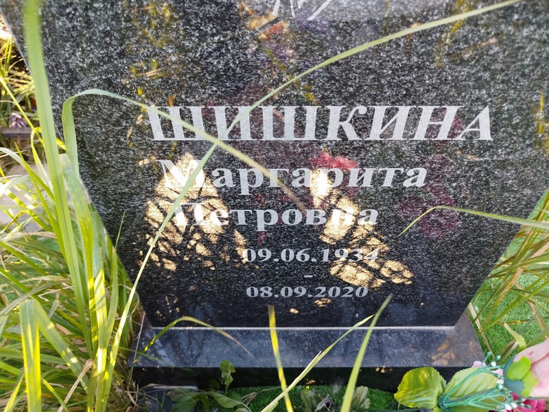 Шишкина