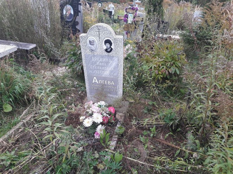 Древина Нина Степановна