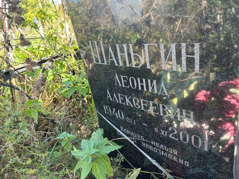Шаньгин