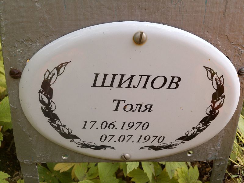 Толя Шилов