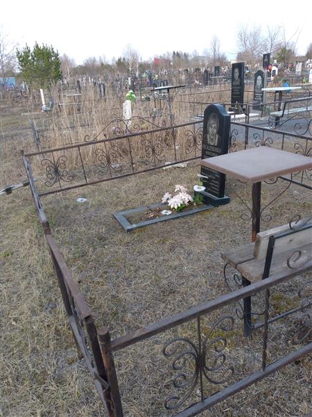 Осадченко Виктория Николаевна