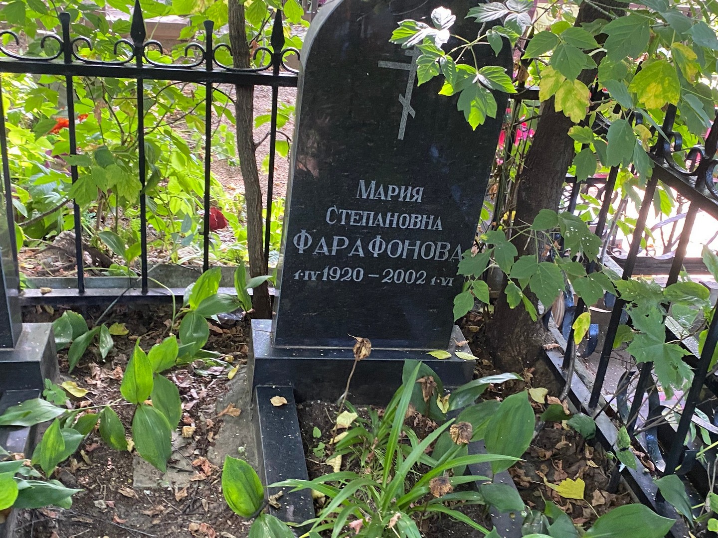 Фарафонова