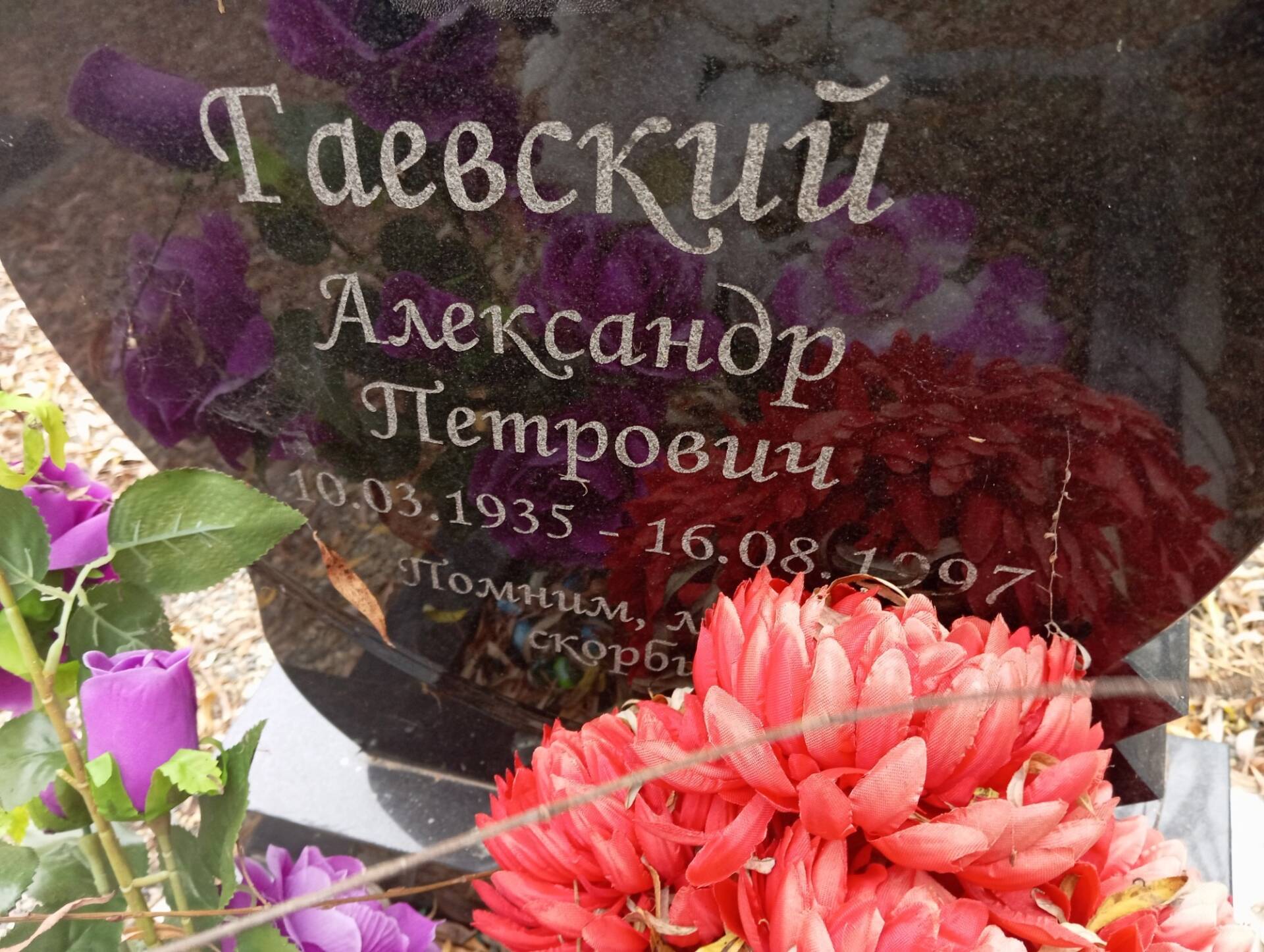 Гаевский Александр Петрович