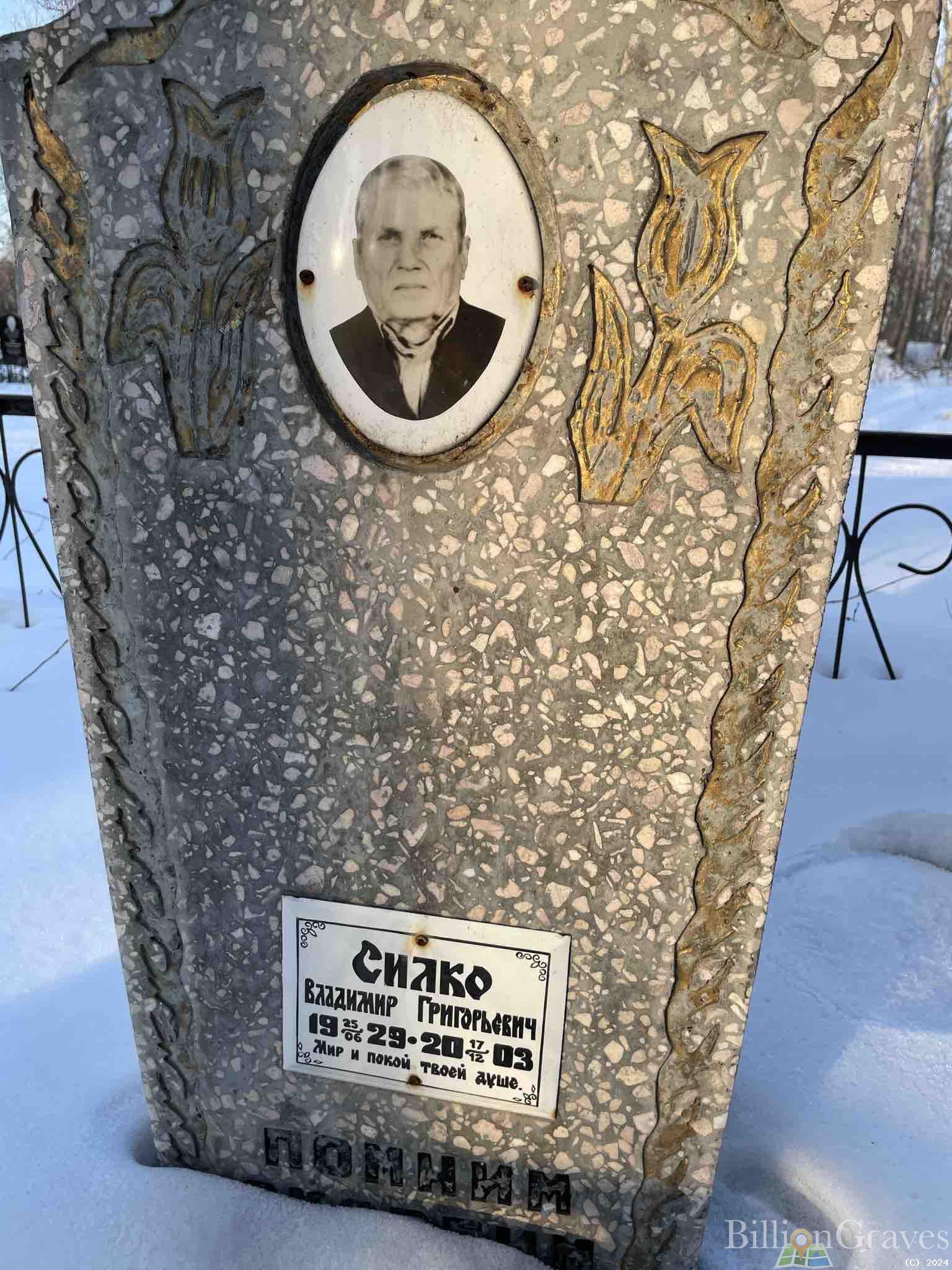 Силко Владимир Григорьевич