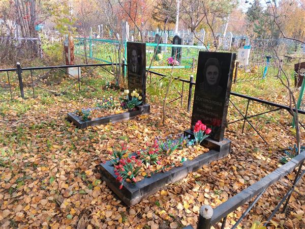 Богомолов Анатолий Фёдорович