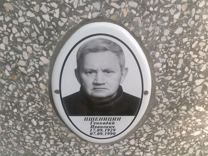 Пшеницин