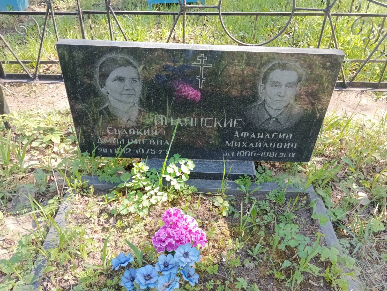 Полянская Евдокия Дмитриевна