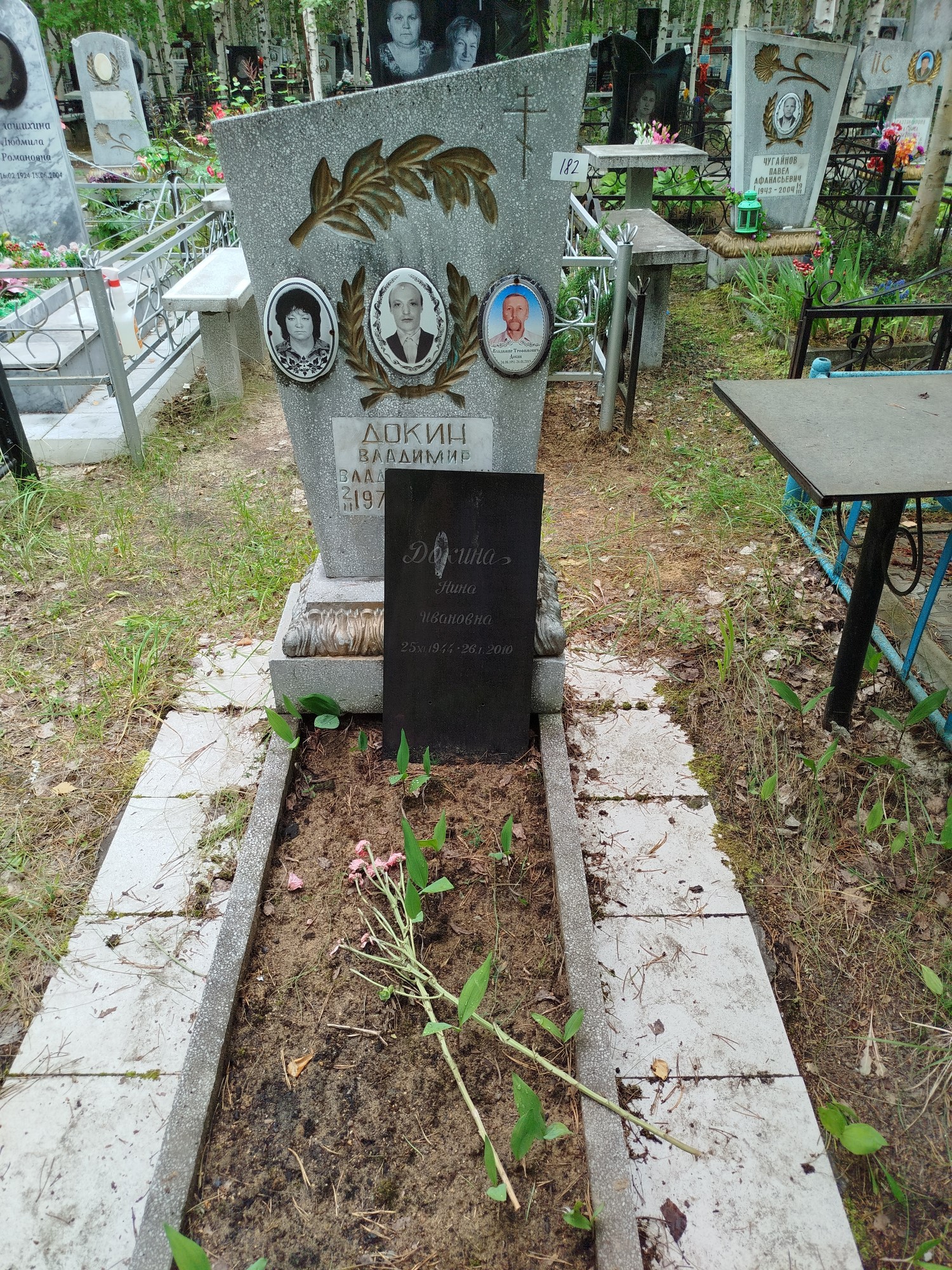 Докина Нина Ивановна