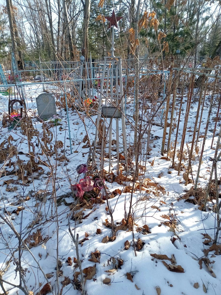 Вашулич Дмитрий Павлович
