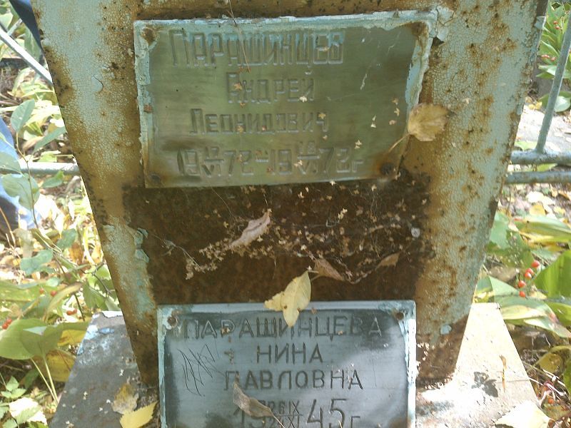 Парашинцева