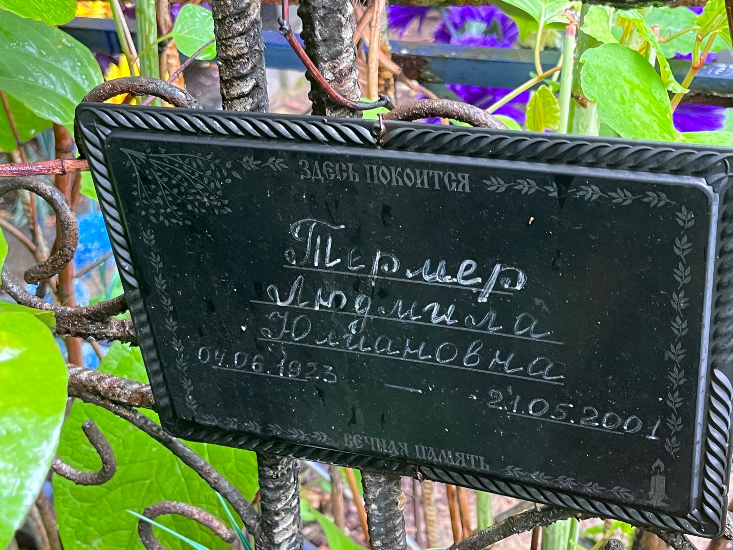 Термер