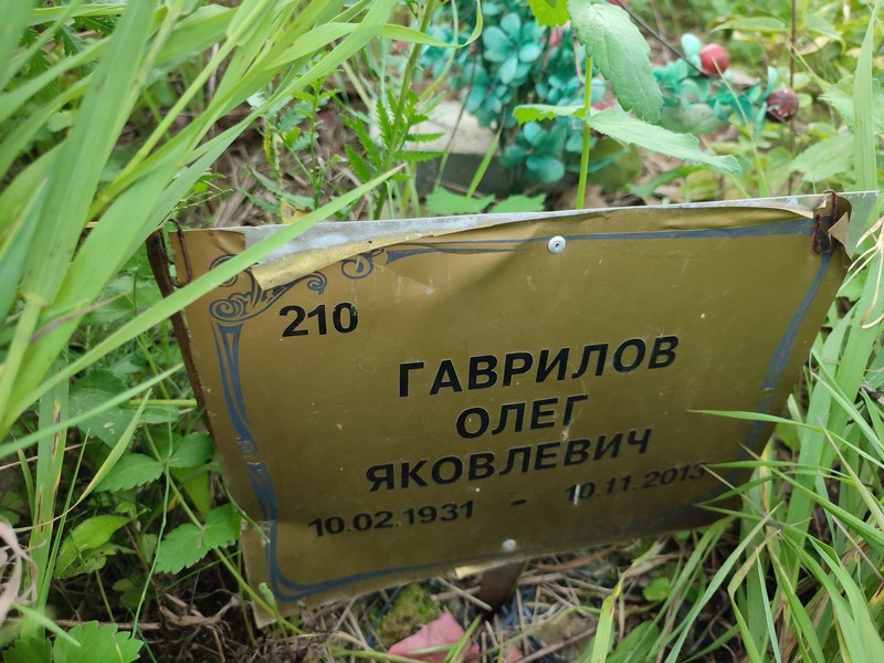Гаврилов