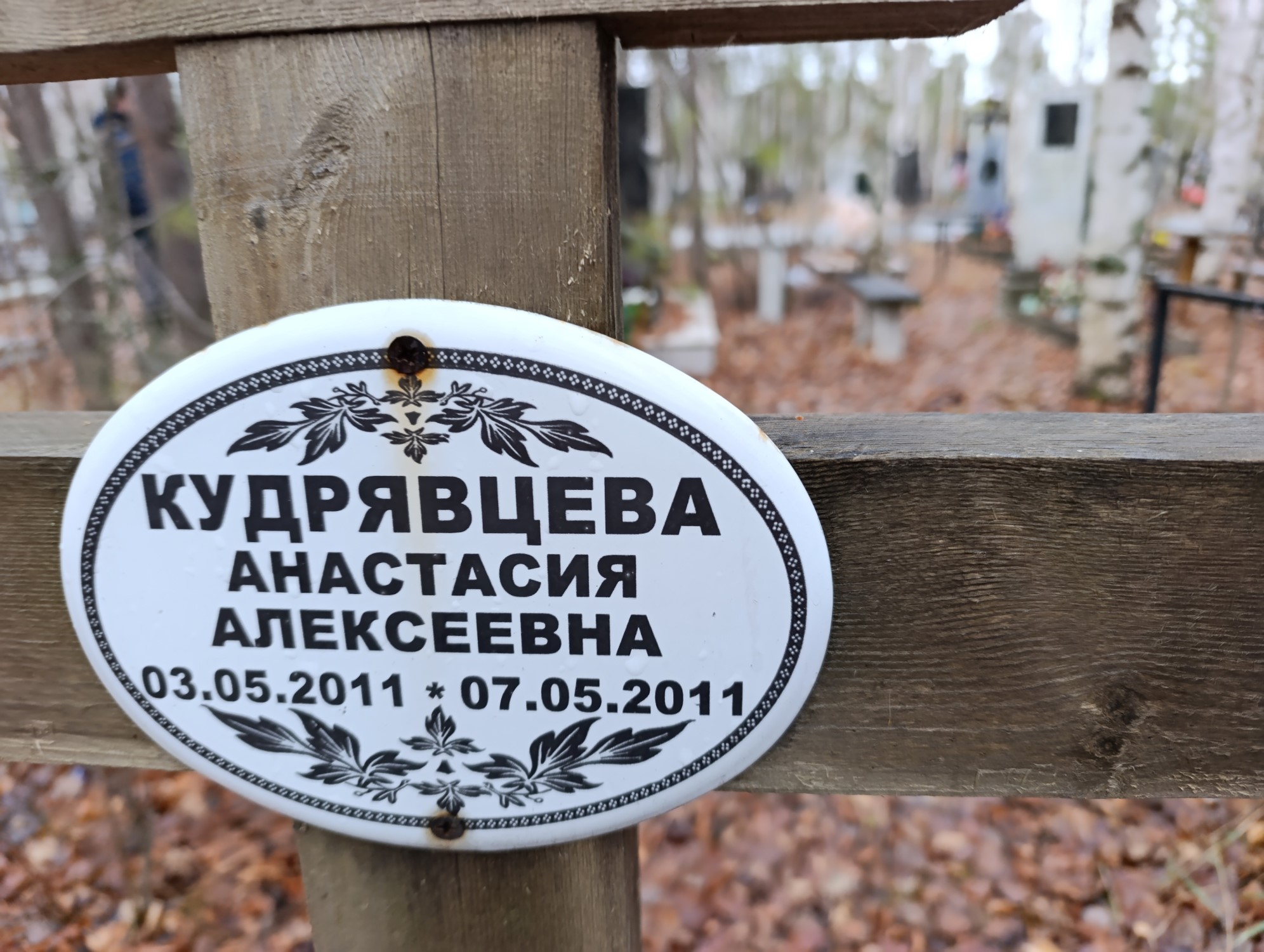 Кудрявцева Анастасия Алексеевна