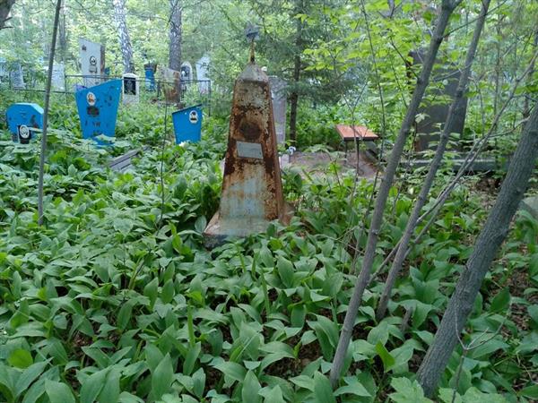 Елатов Николай Сергеевич