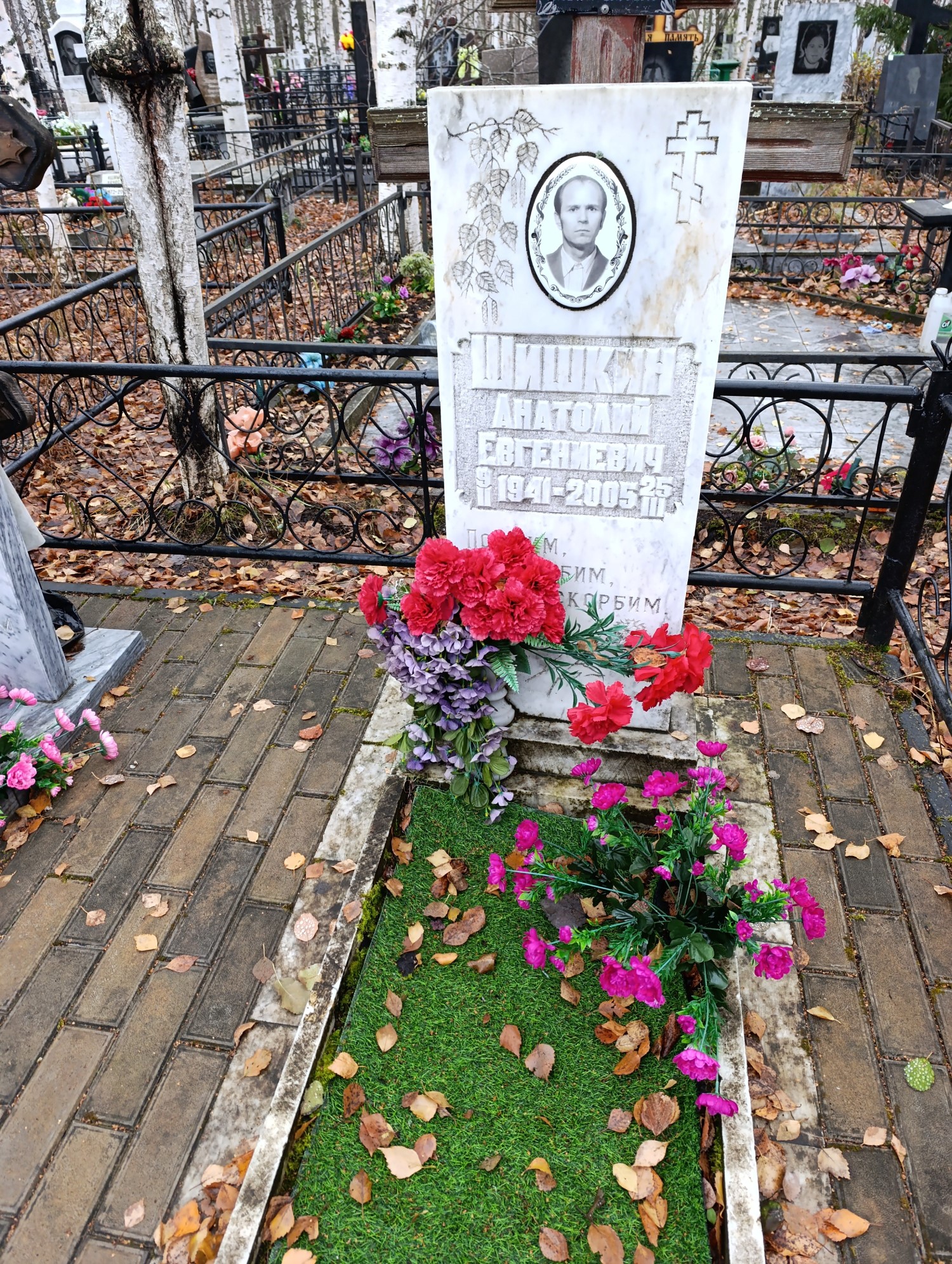 Шишкин Анатолий Евгениевич