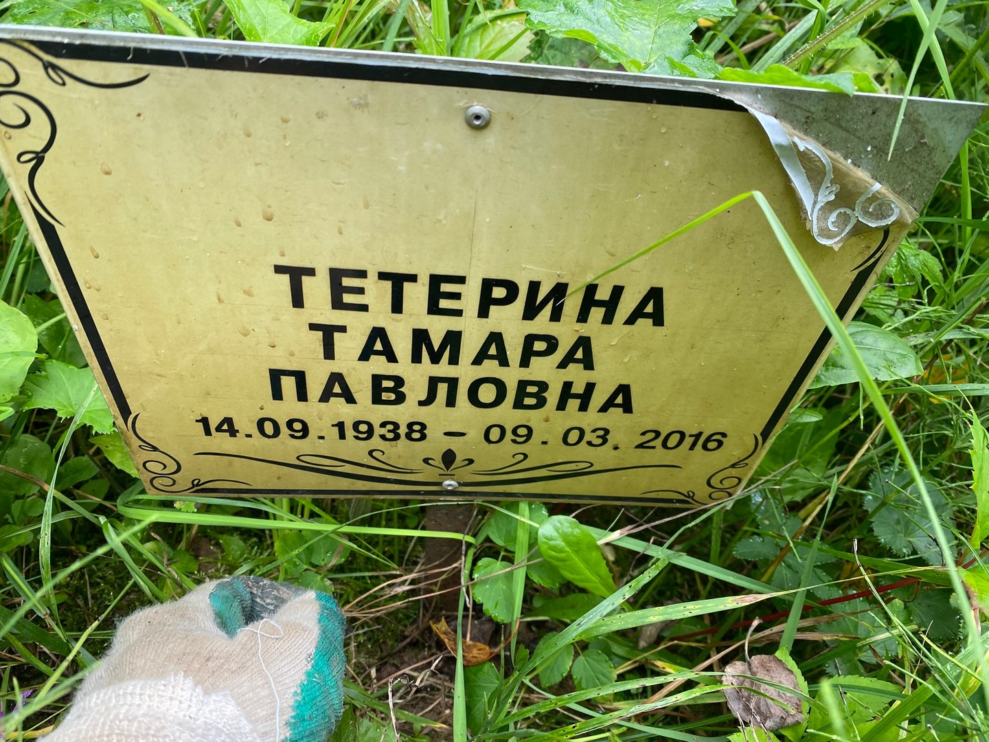 Тетерина