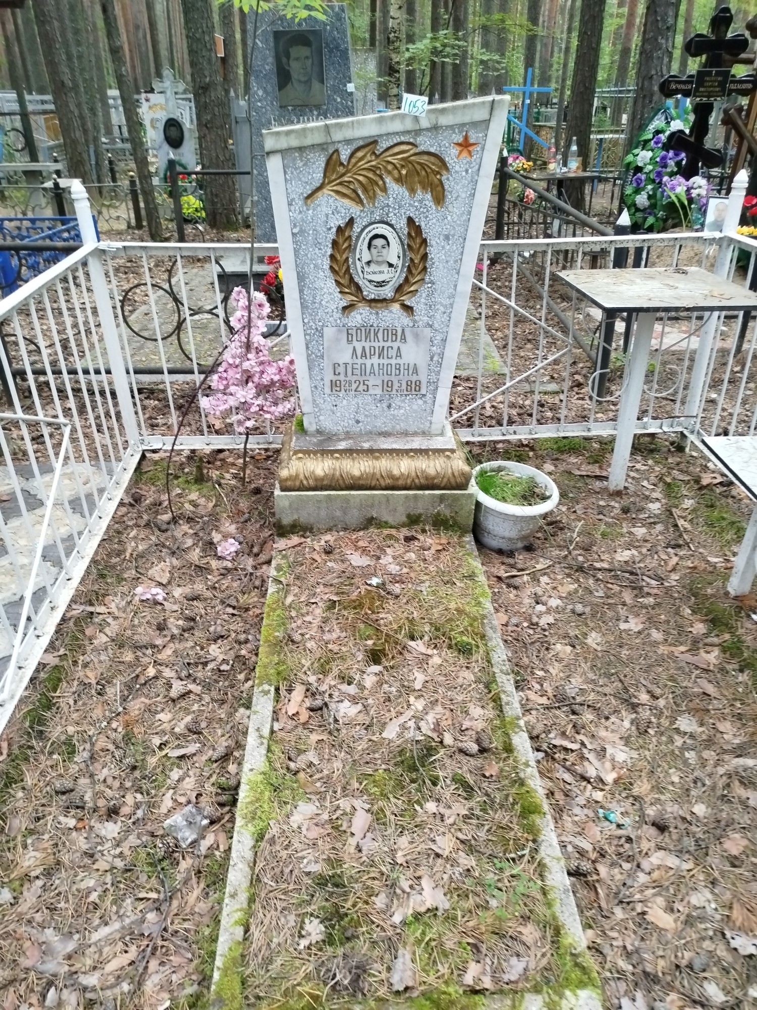 Бойкова Лариса Степановна