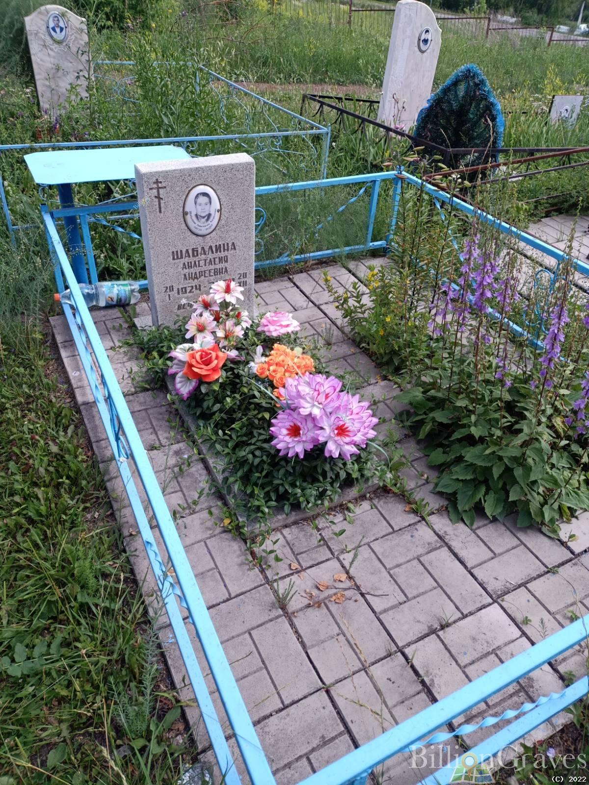 Шабалина Анастасия Андреевна