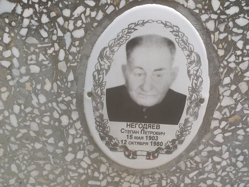 Негодяев