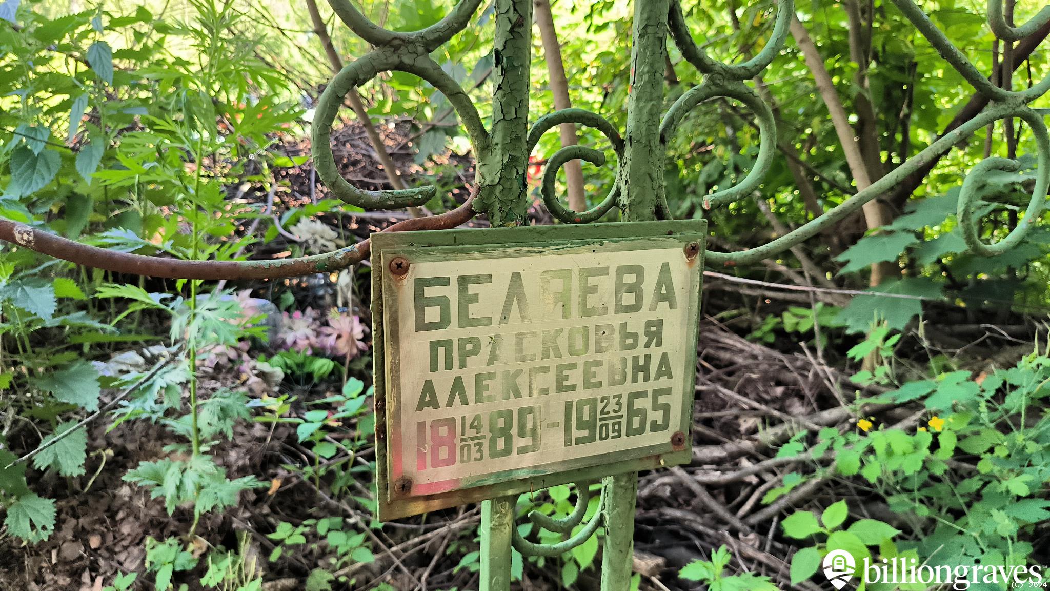 Беляева Прасковья Алексеевна