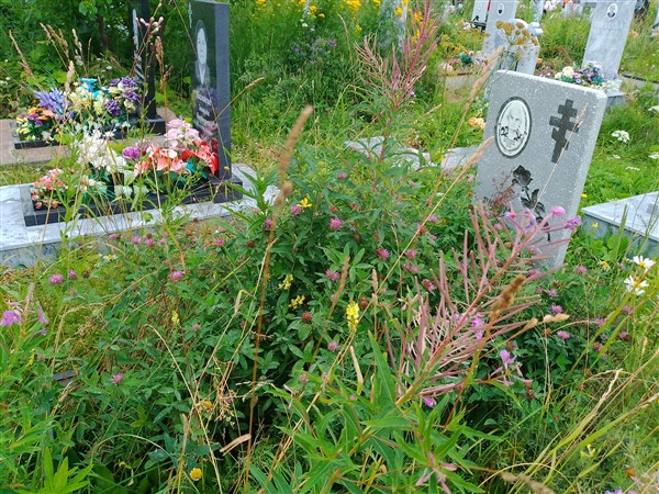 Патрушева Нина Васильевна