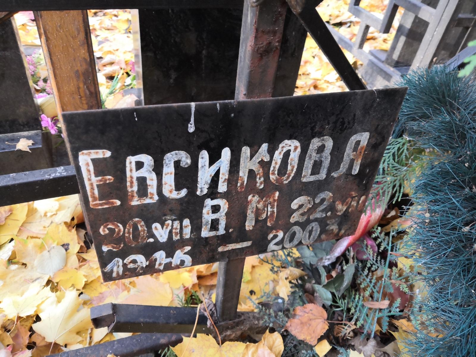 Евсикова В. М.