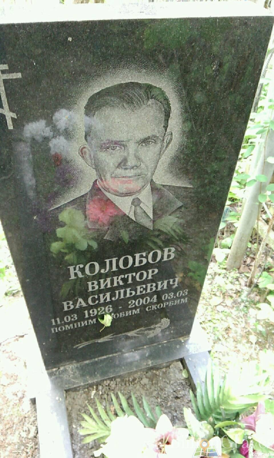 Калюжа Михаил