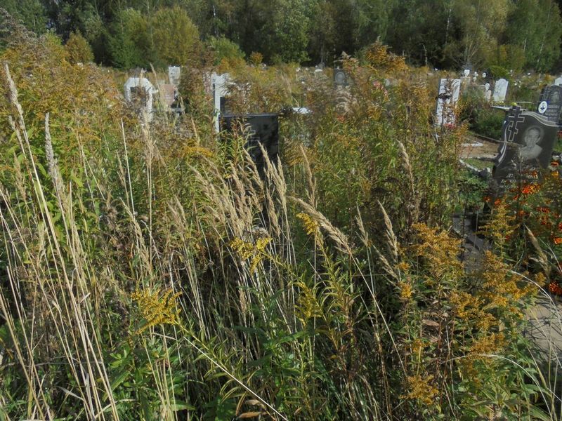 Золотова Анастасия Захаровна