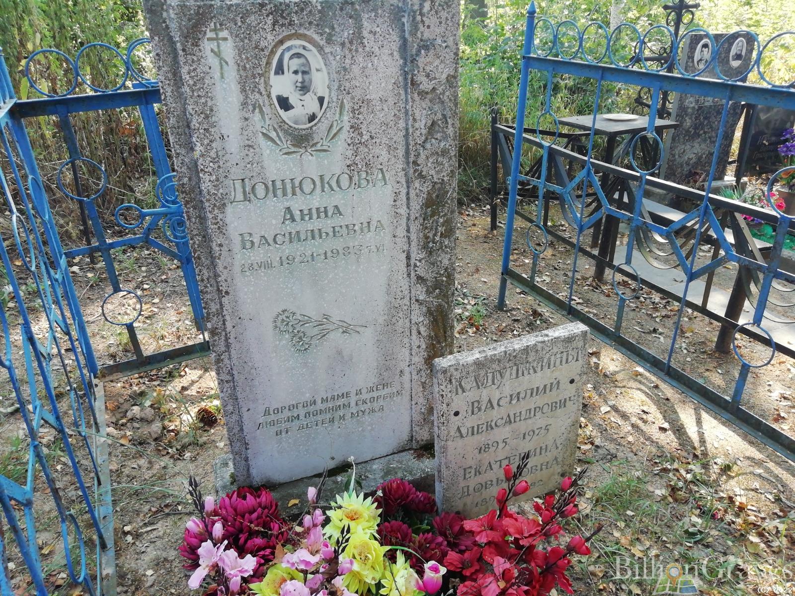 Донюкова Анна Васильевна