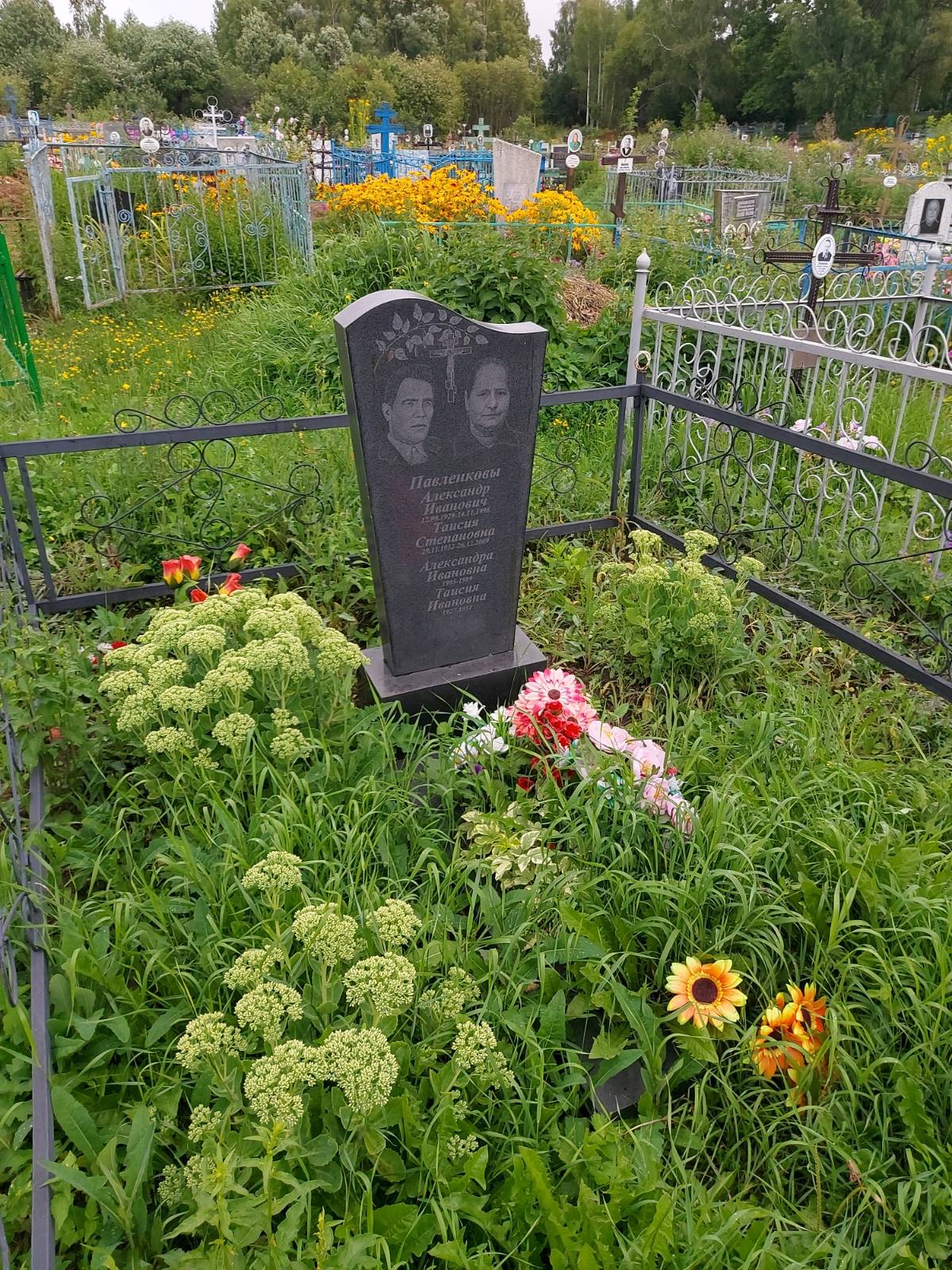 Павленкова Таисия Степановна