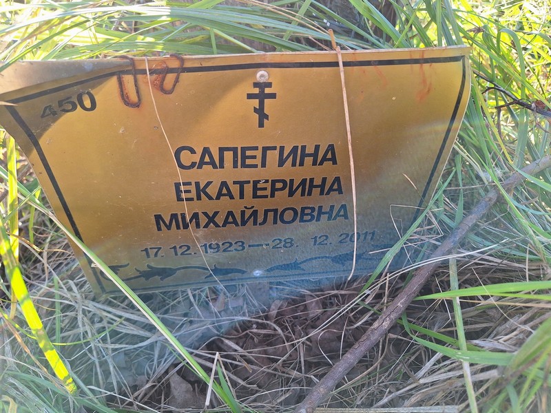 Сапегина