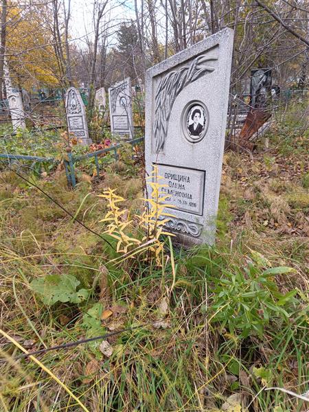 Орищина Олена Семеновна