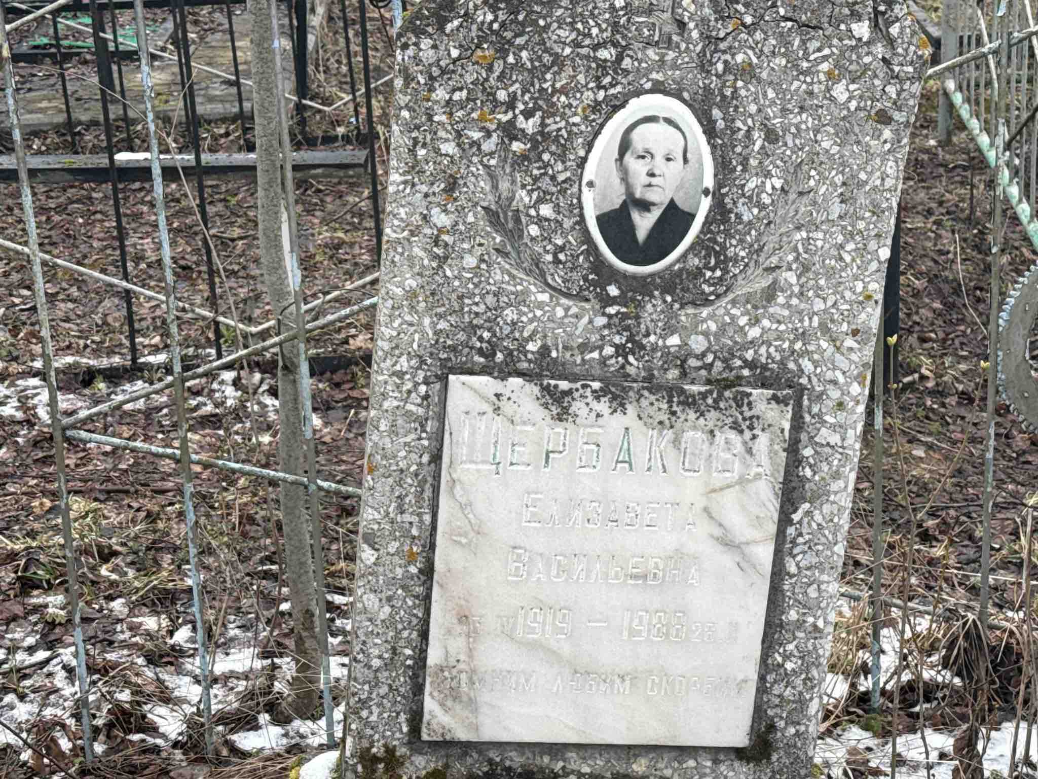 Щербакова Елизавета Васильевна