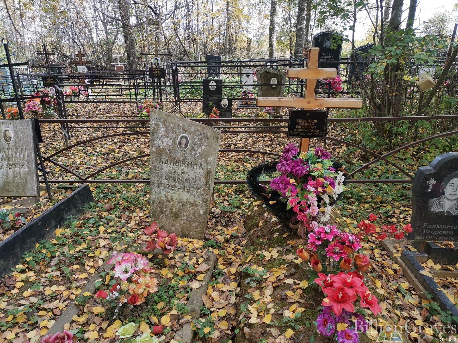 Большаков Николай Евгеньевич